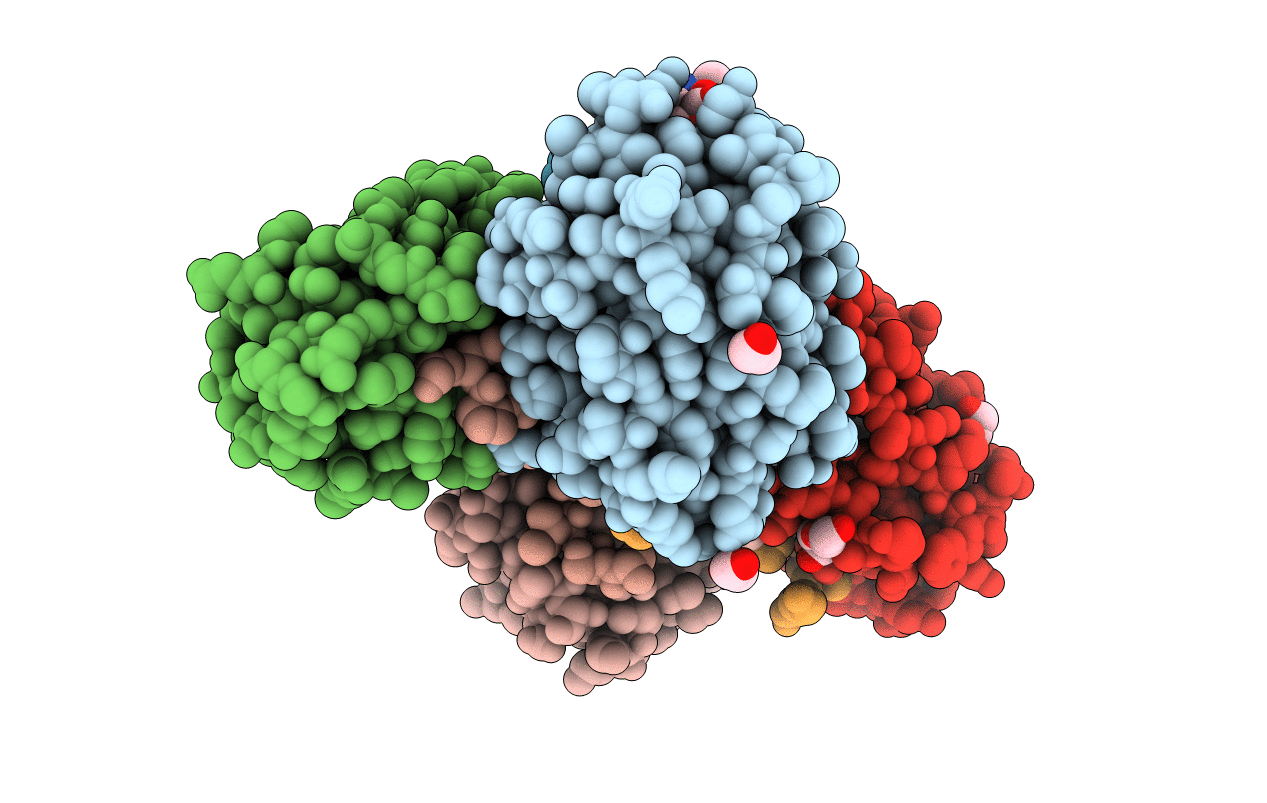 5J4T image