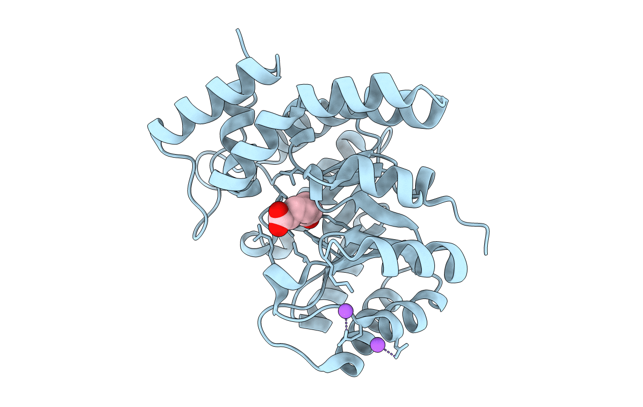 5J5D image