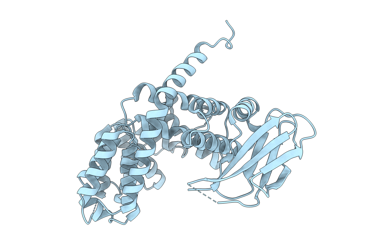 5J5E image