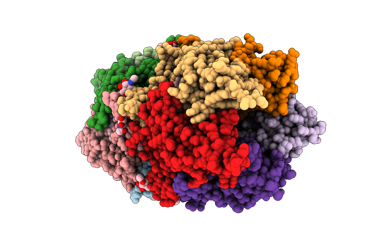 5J5G image