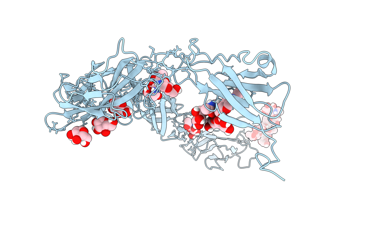 5J5J image