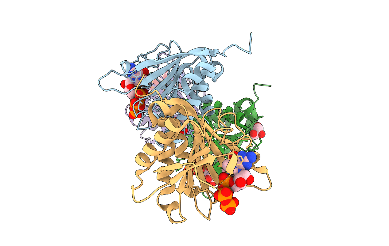 5J5O image