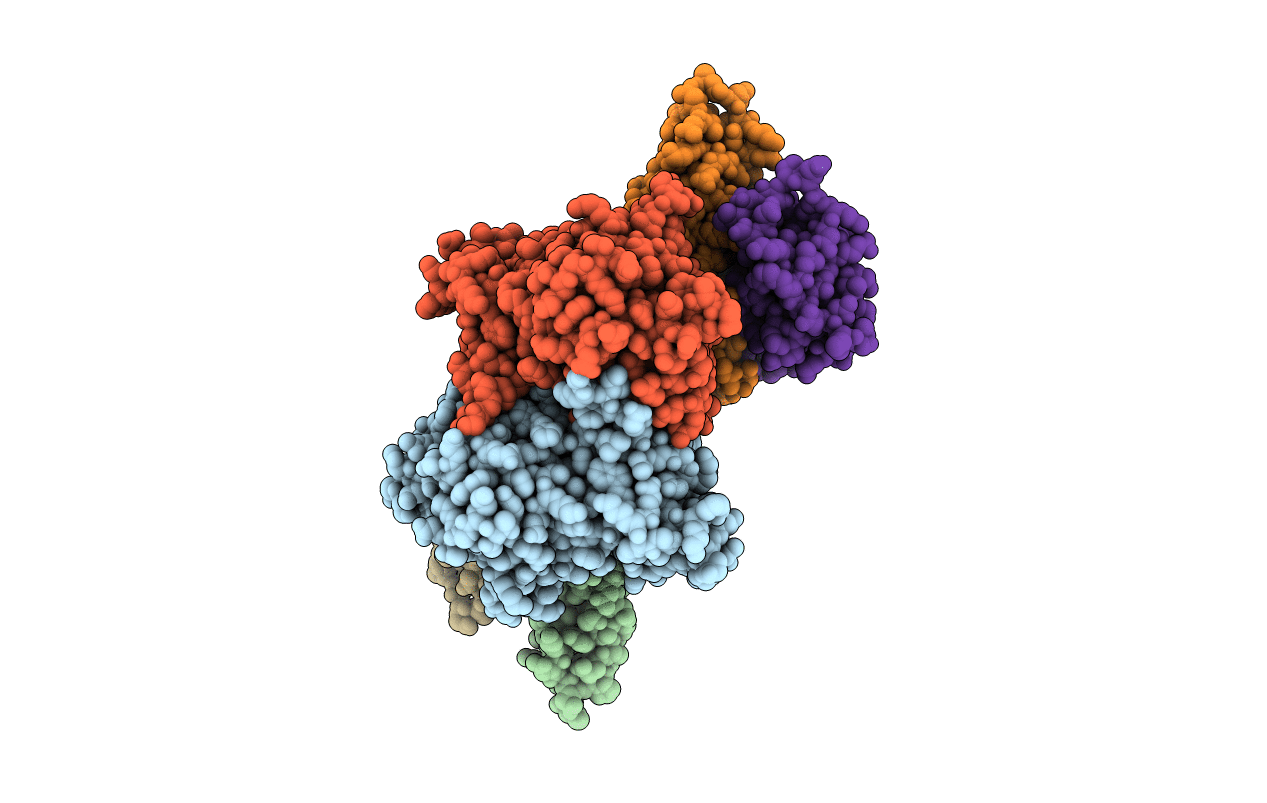 5J5V image