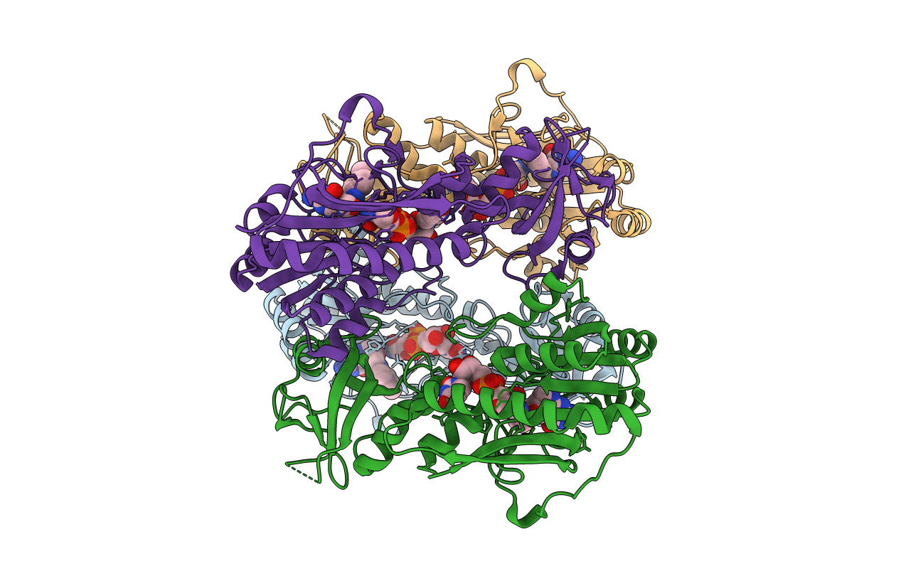 5J63 image