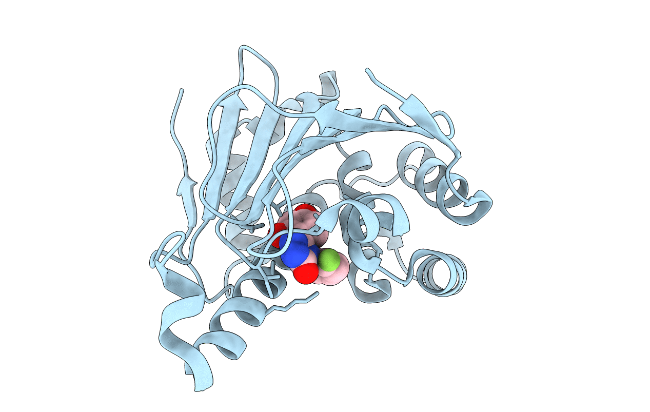 5J64 image