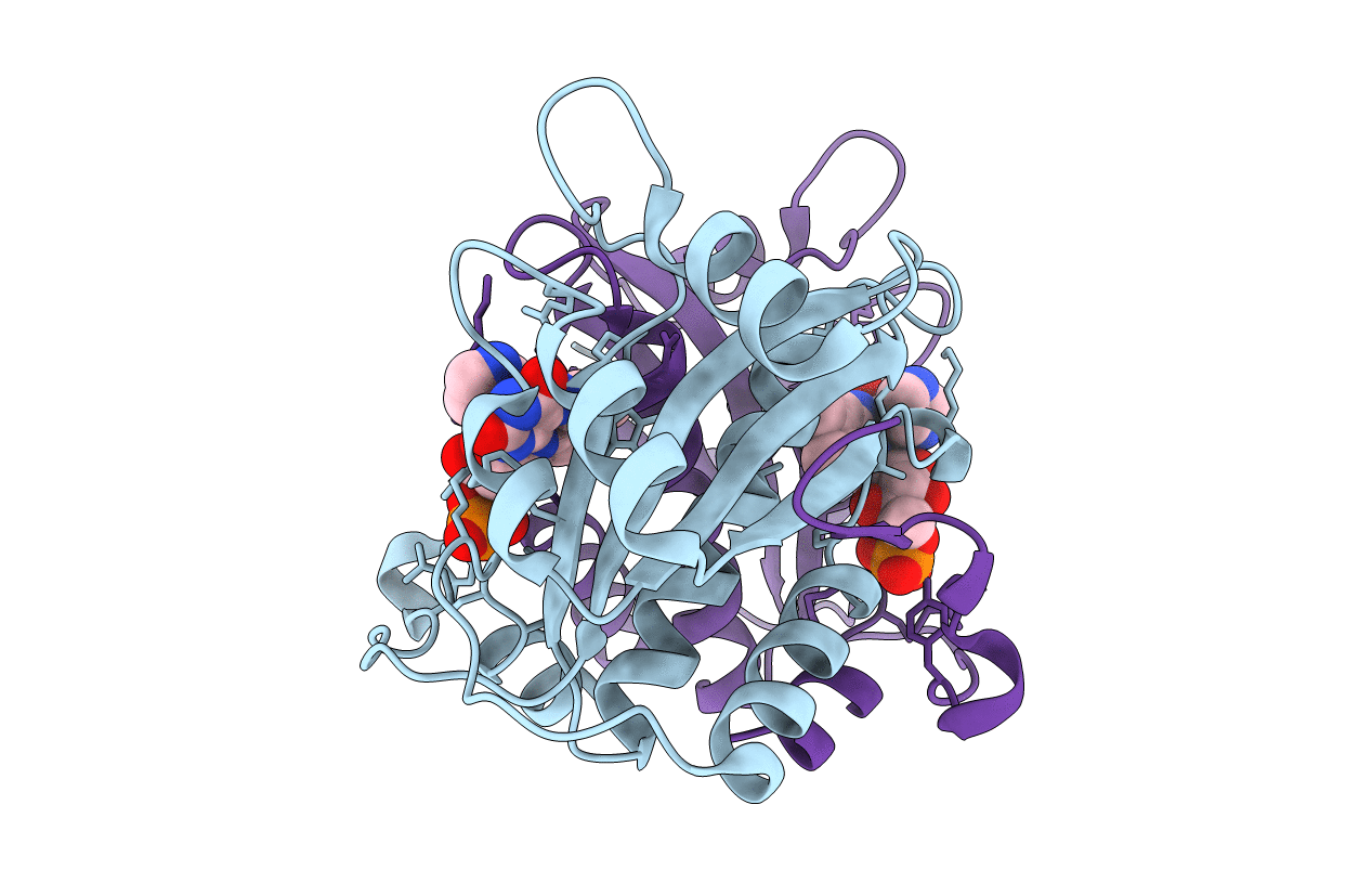 5J6C image