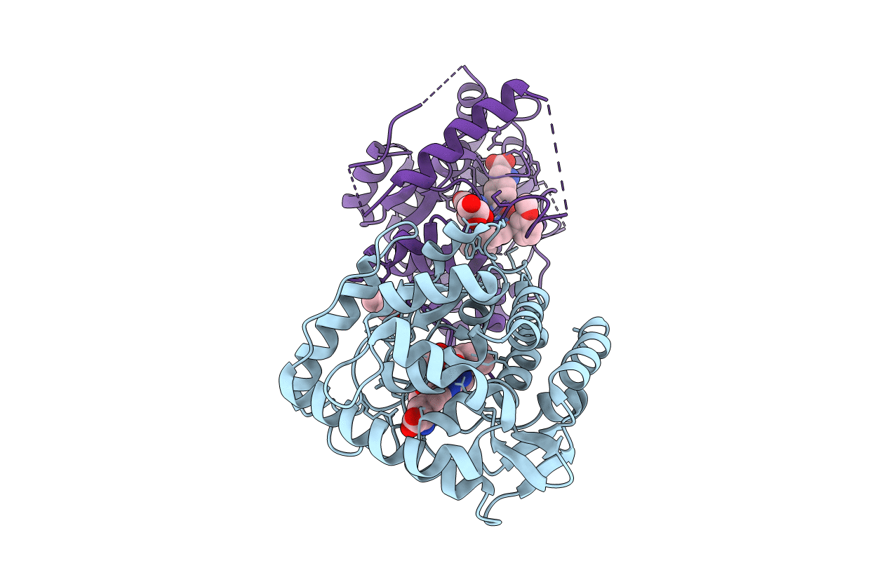 5J6D image
