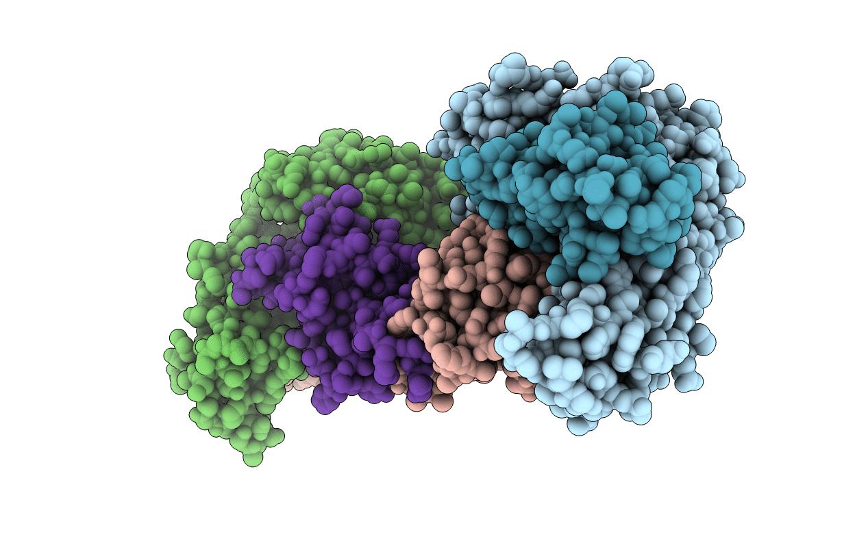 5J6G image
