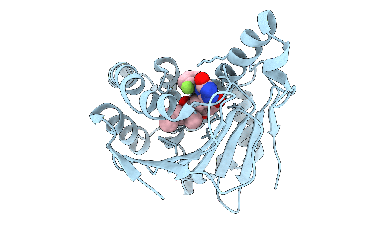 5J6L image