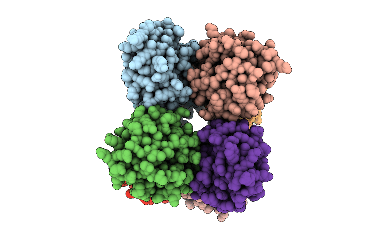 5J7D image