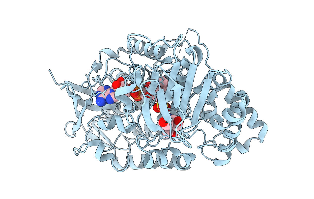 5J7X image