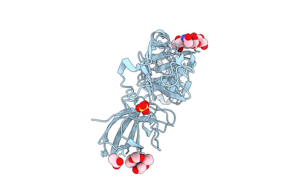 5J81 image