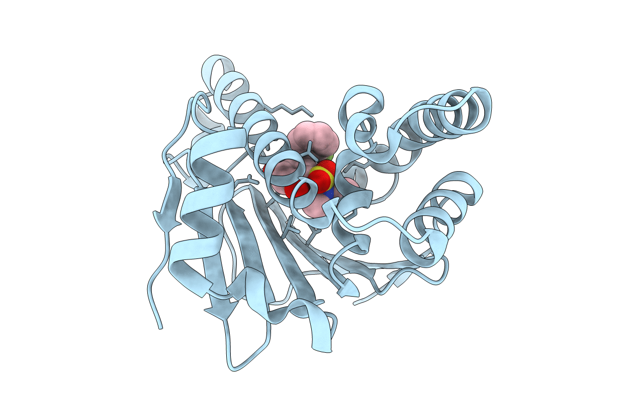 5J82 image