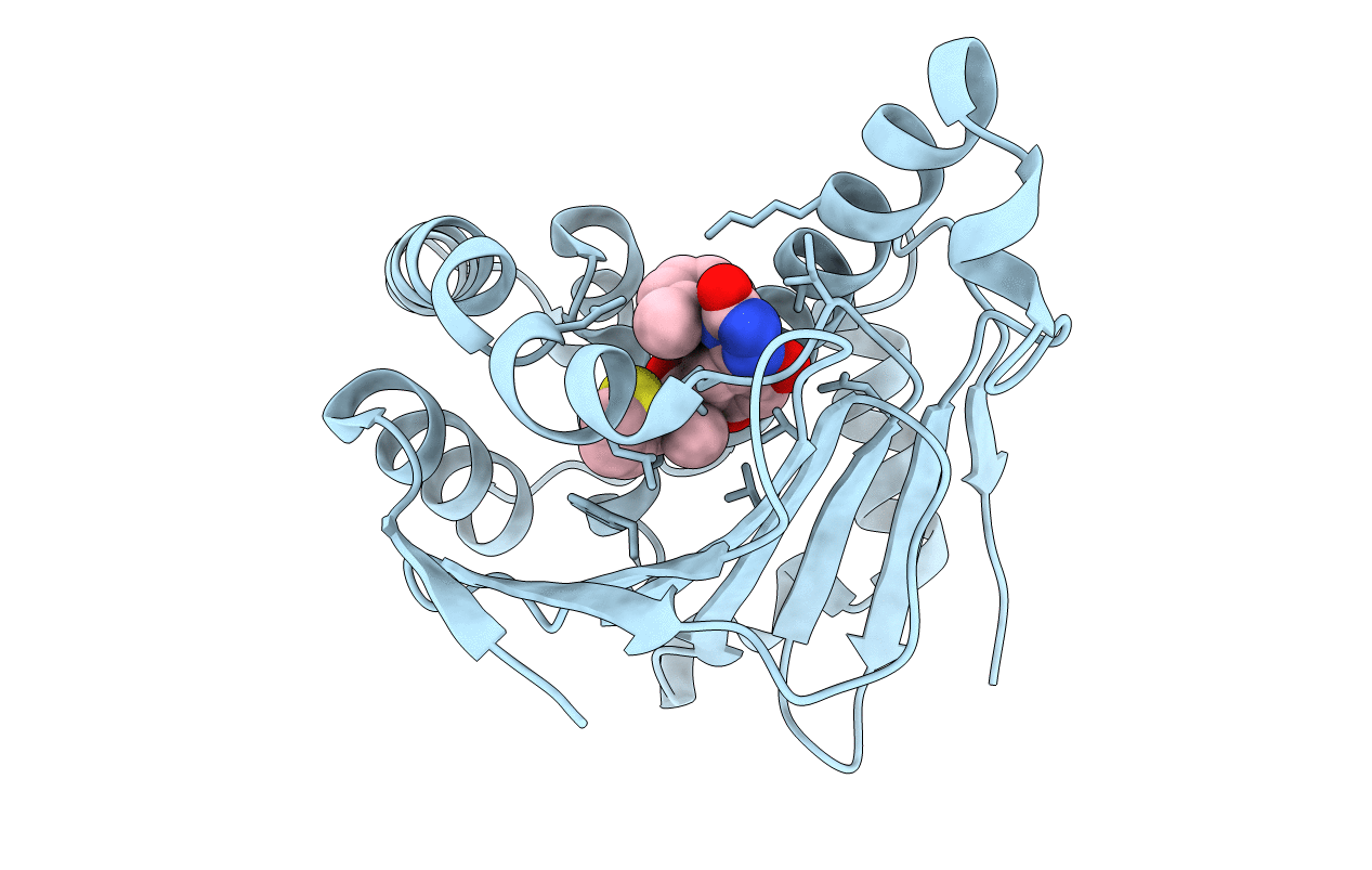 5J86 image
