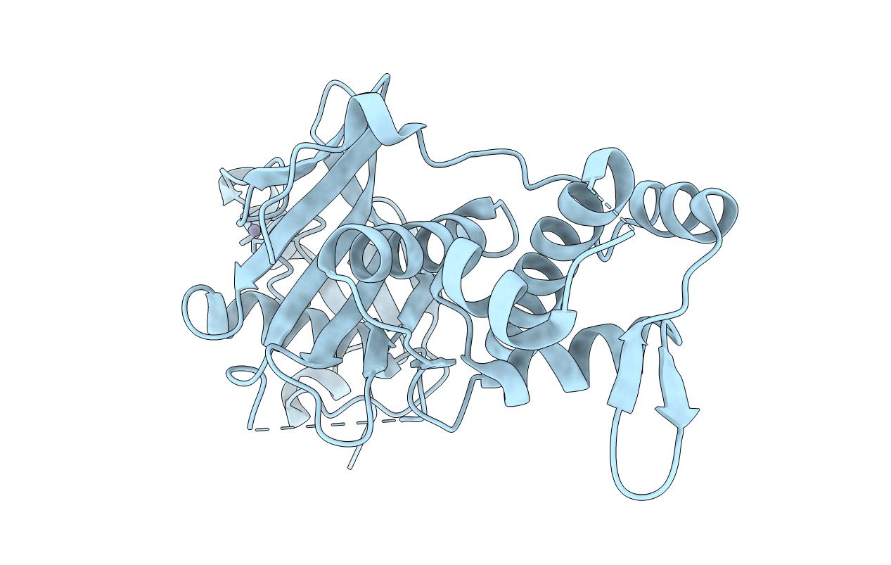 5J8F image