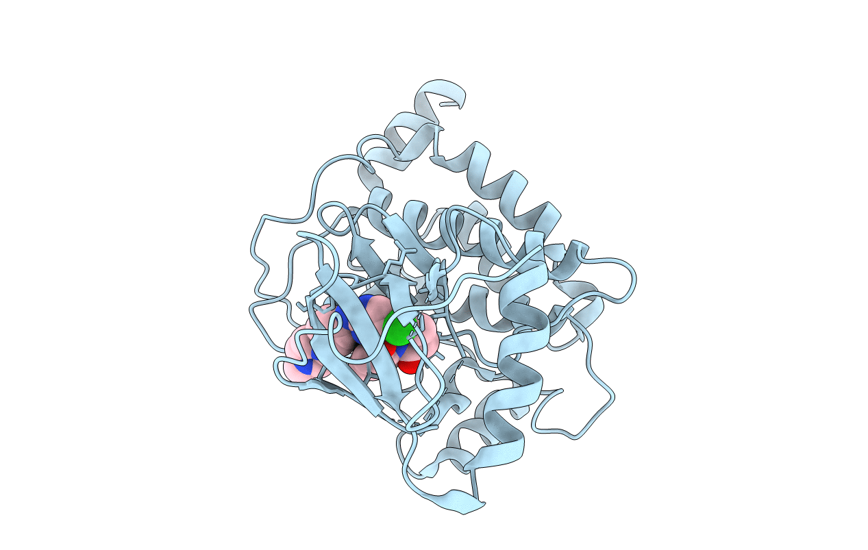 5J8I image