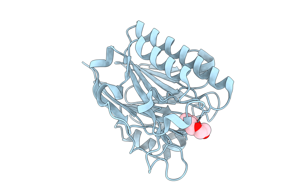 5J8N image