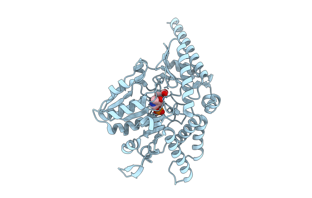 5J8Q image
