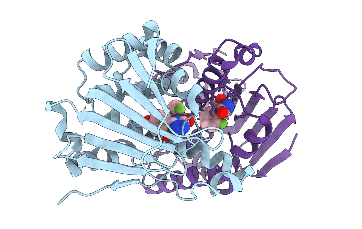 5J8U image