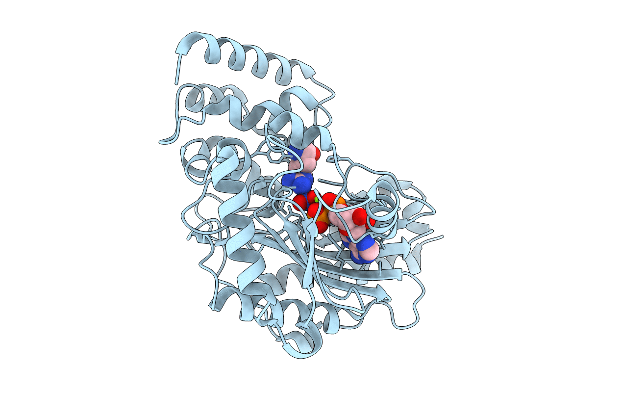 5J99 image