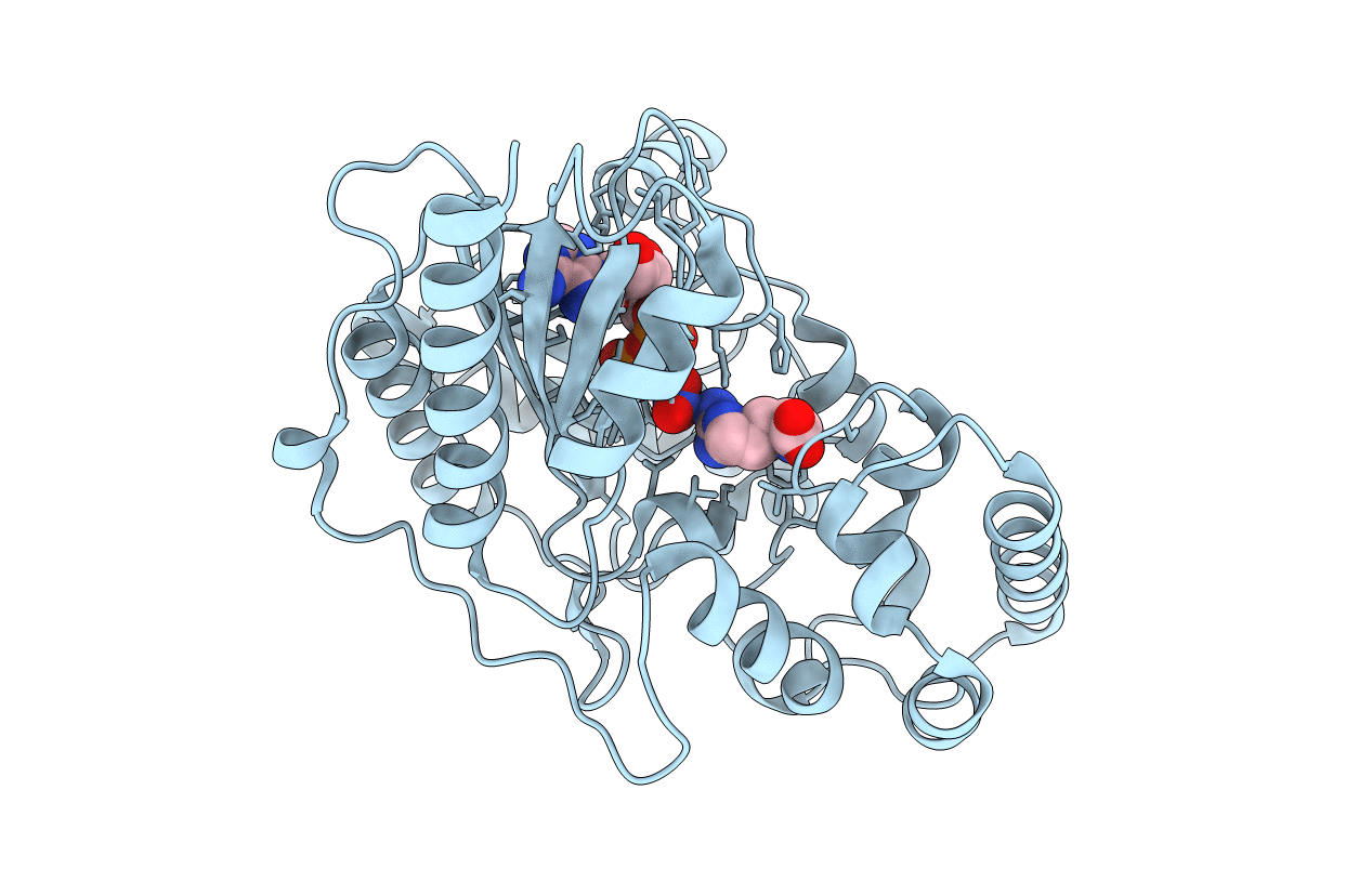 5J9A image