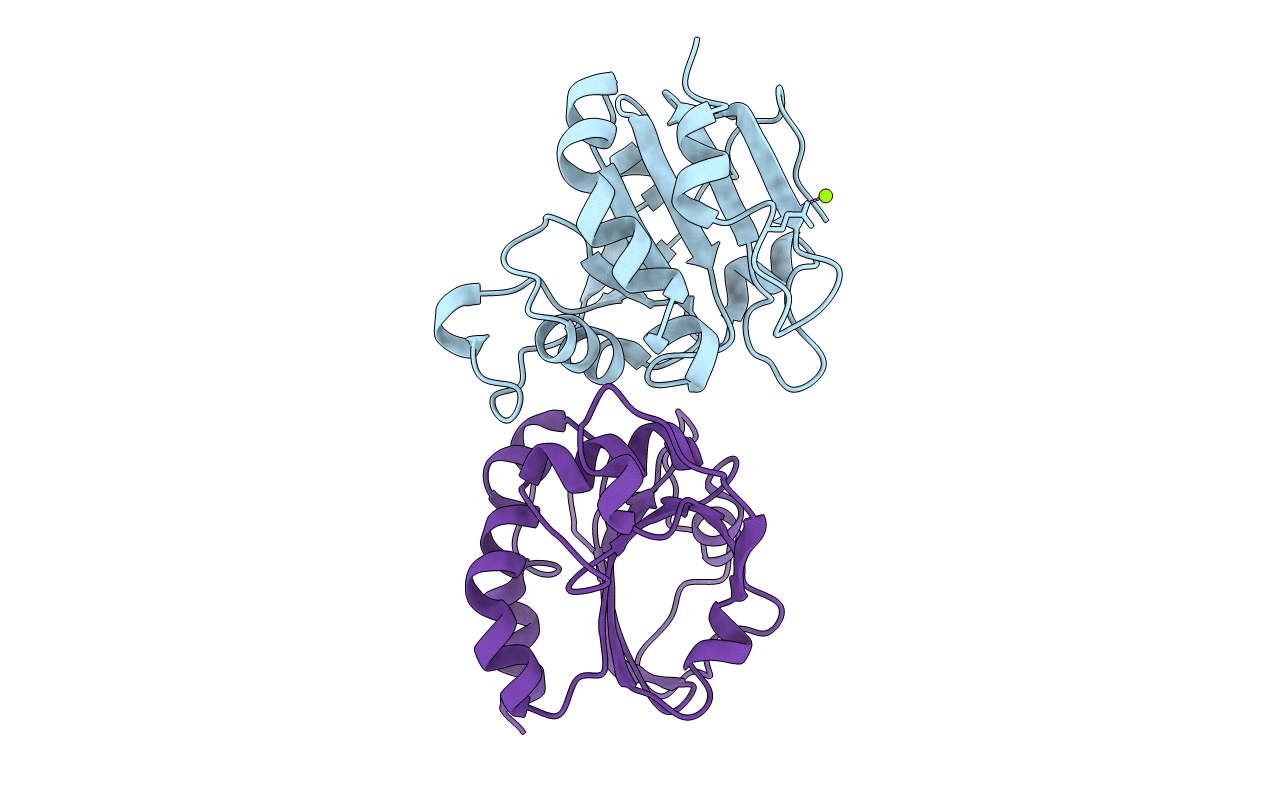 5J9C image