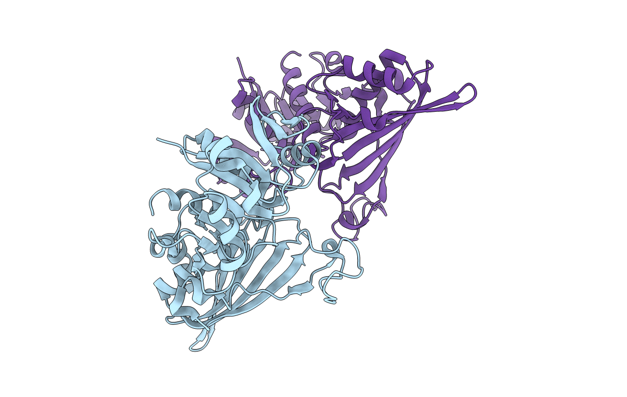 5J9G image