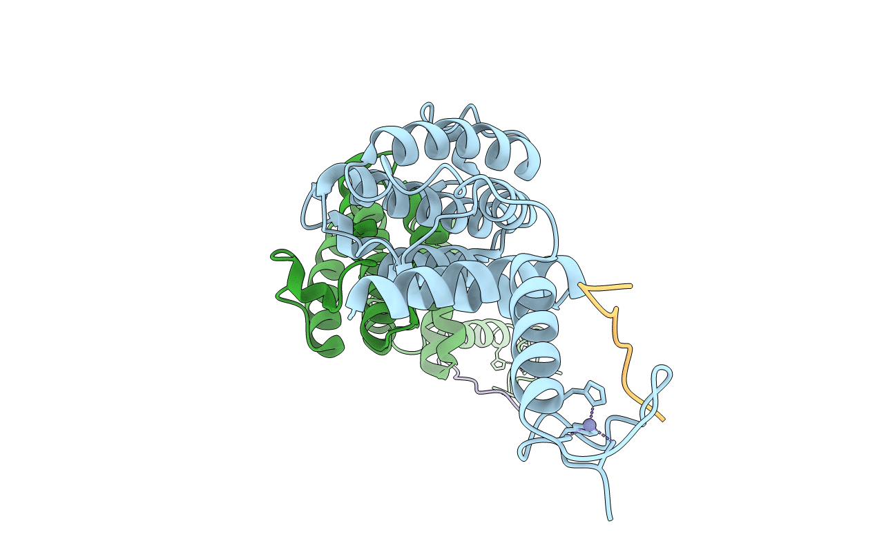 5J9K image