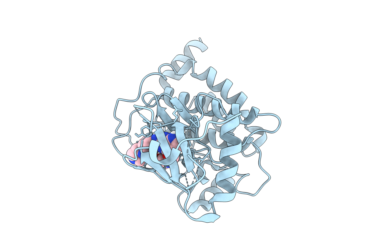 5J9L image