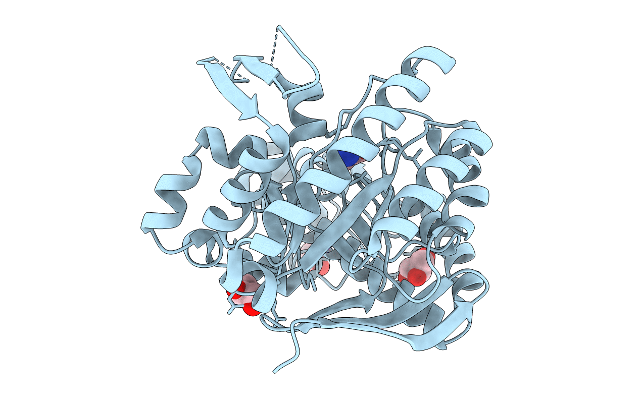 5J9N image