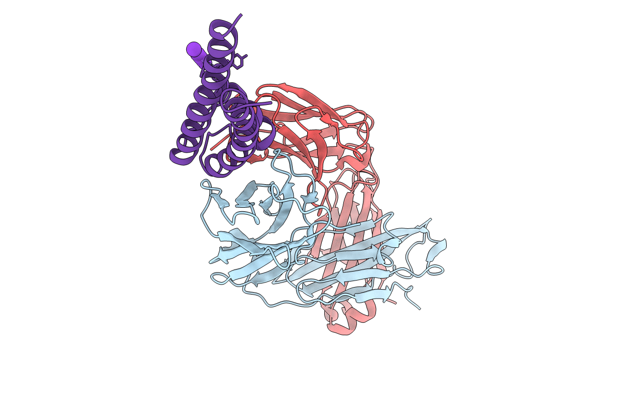 5J9P image