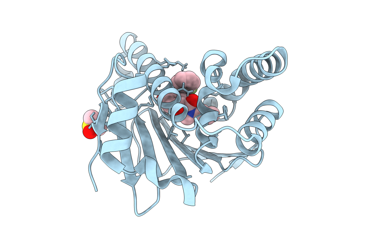 5J9X image