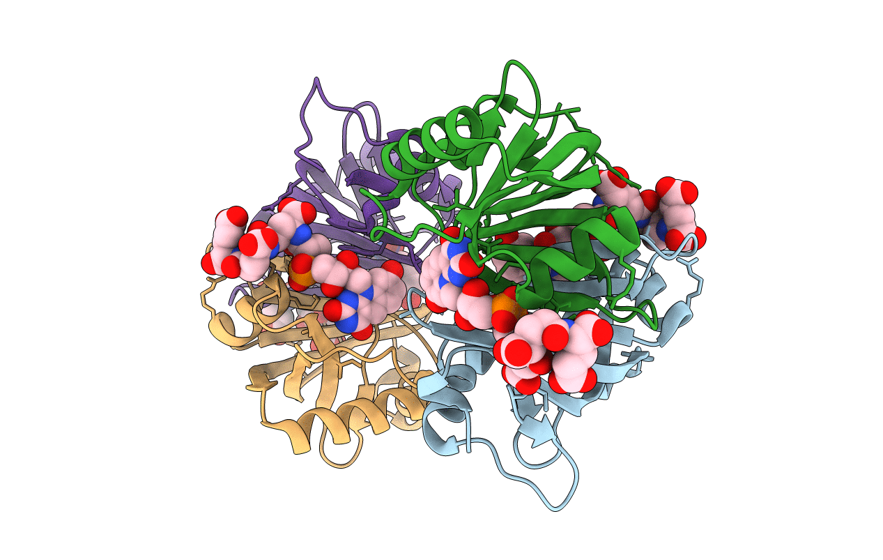 5JAB image