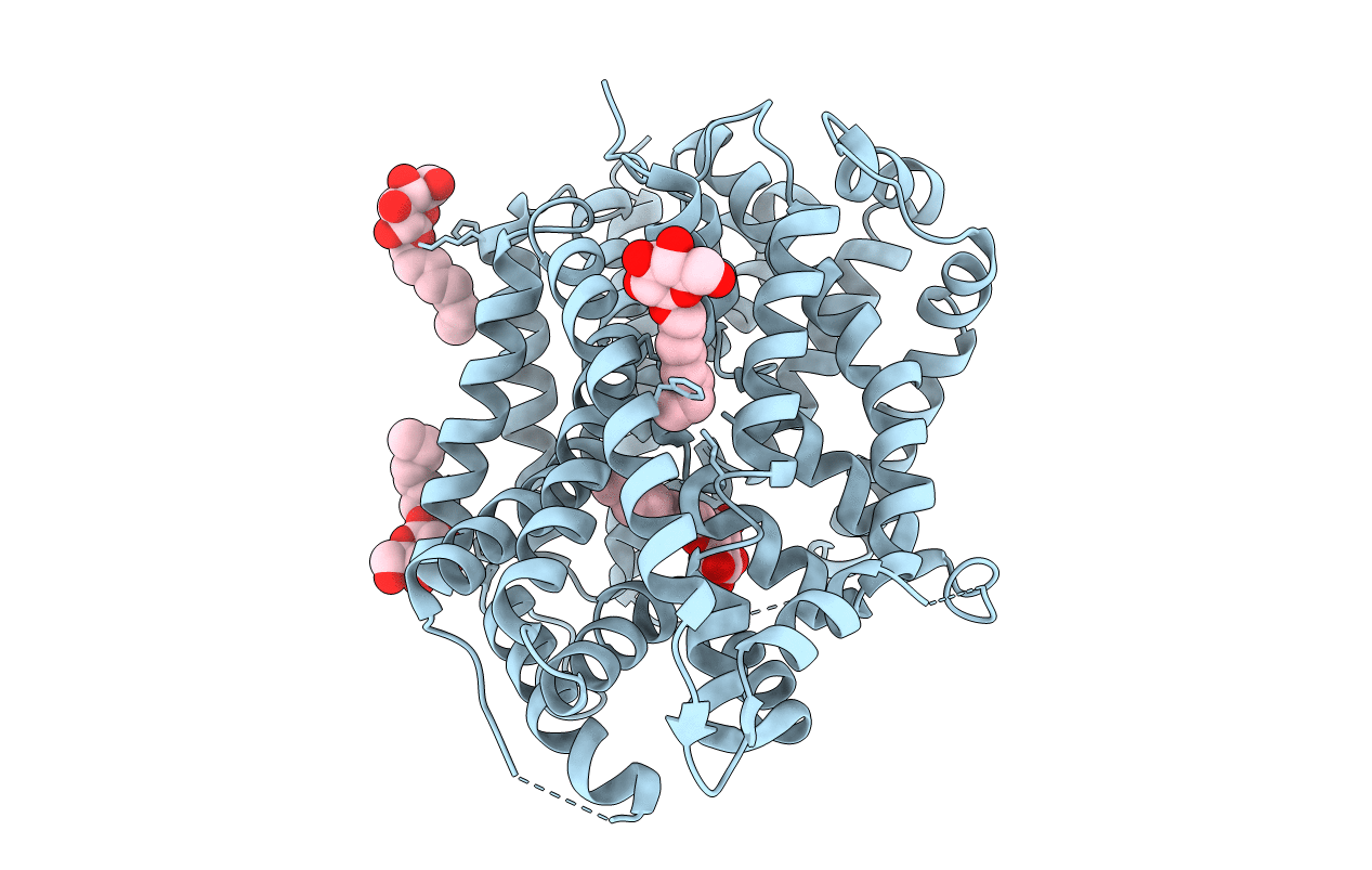 5JAF image
