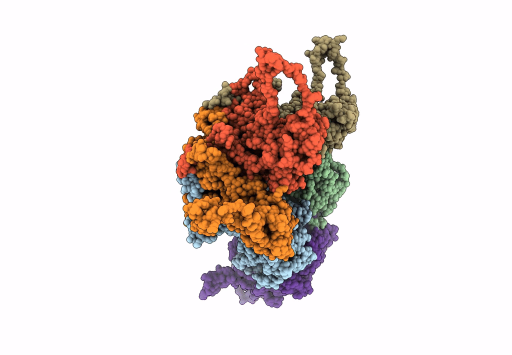 5JB1 image