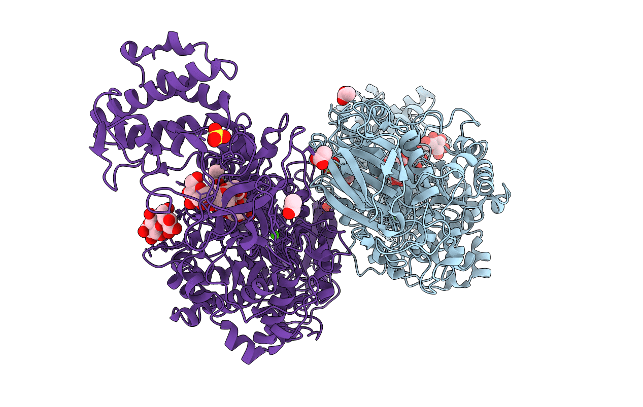 5JBE image