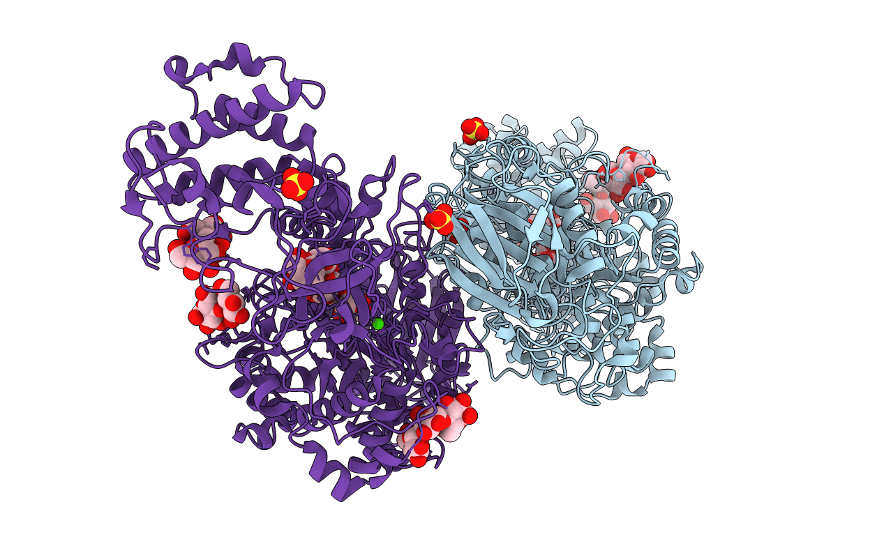 5JBF image