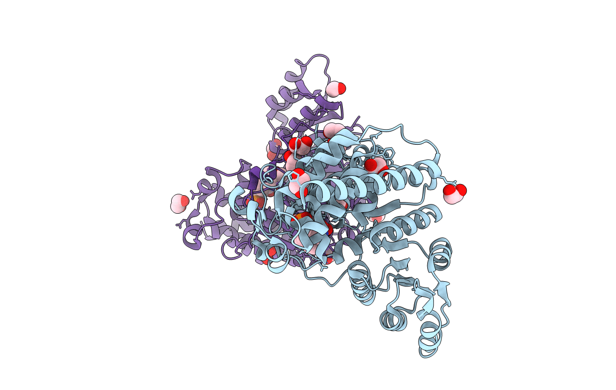 5JBI image
