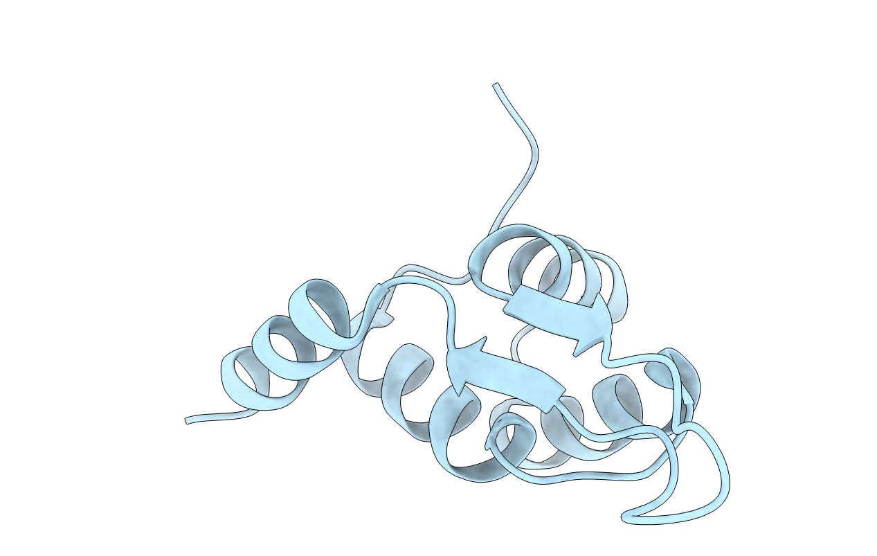 5JBM image