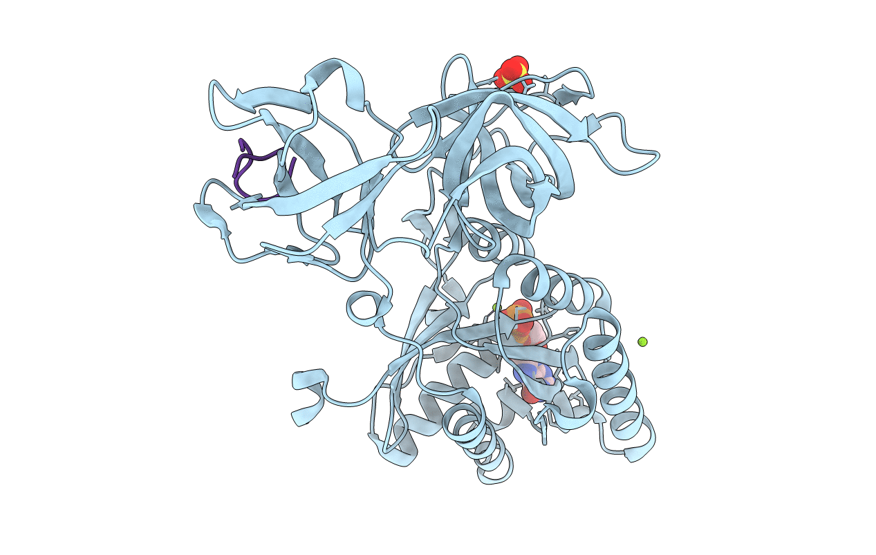 5JBQ image