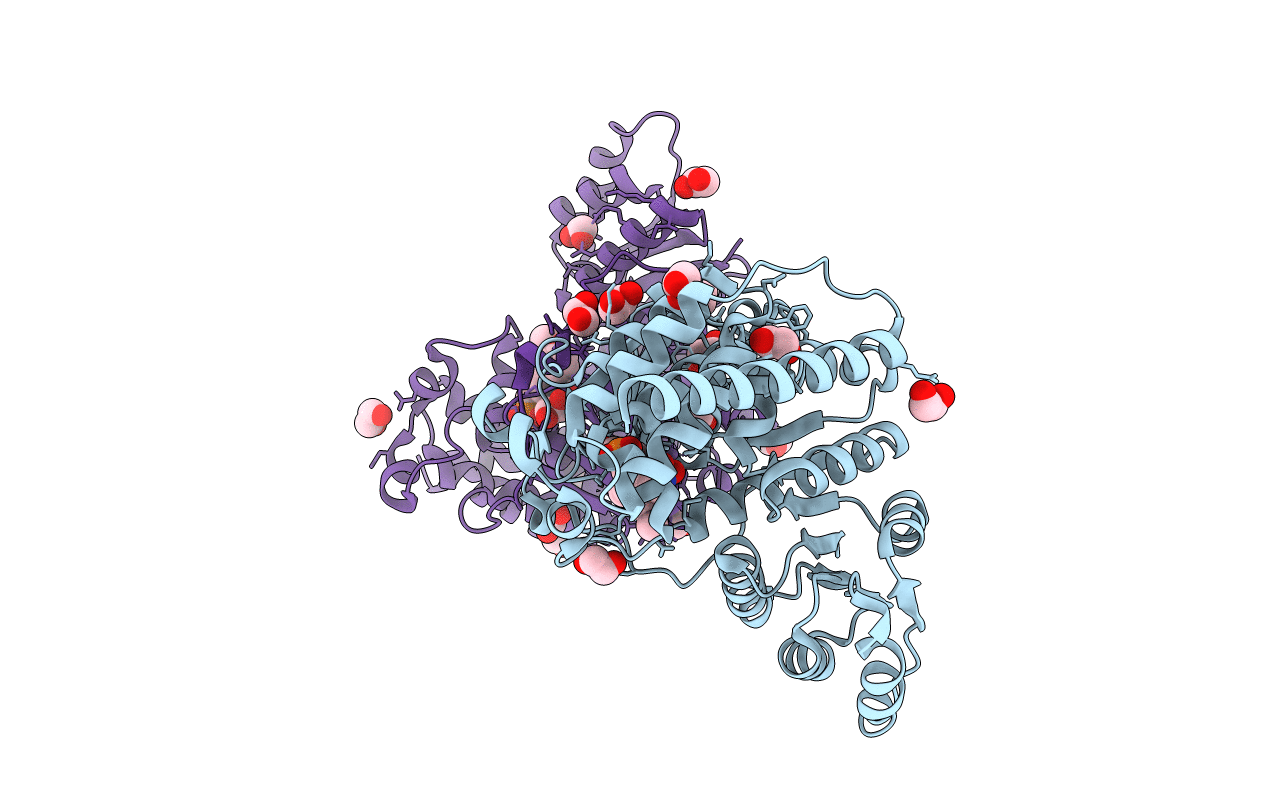 5JC1 image
