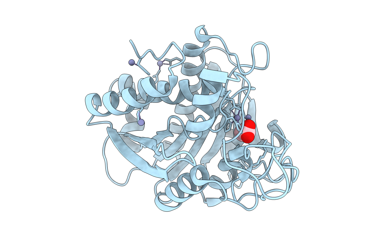 5JC6 image