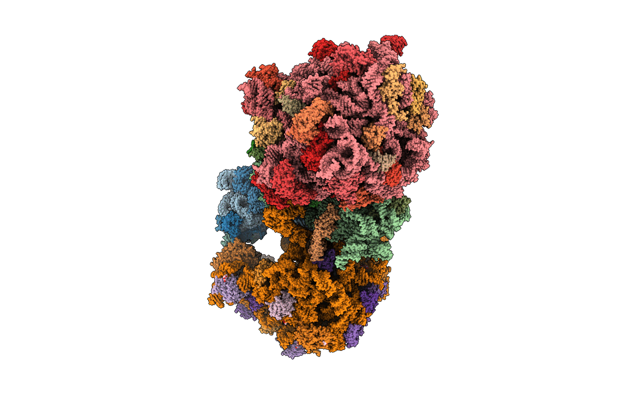 5JC9 image