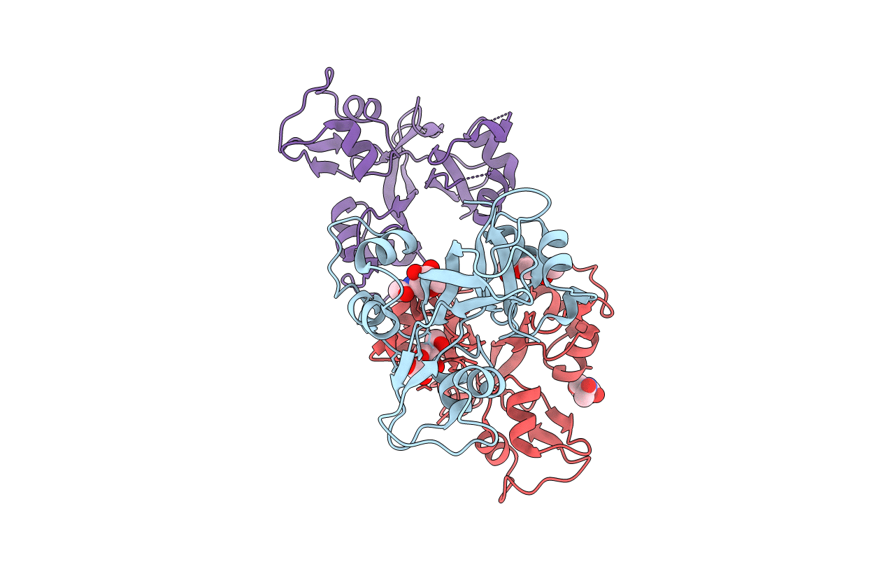 5JCD image