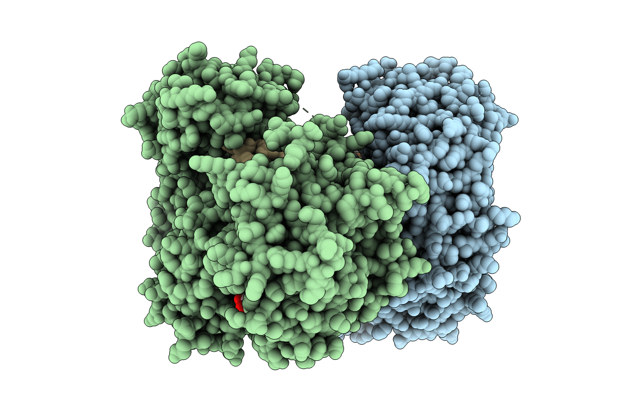 5JCF image