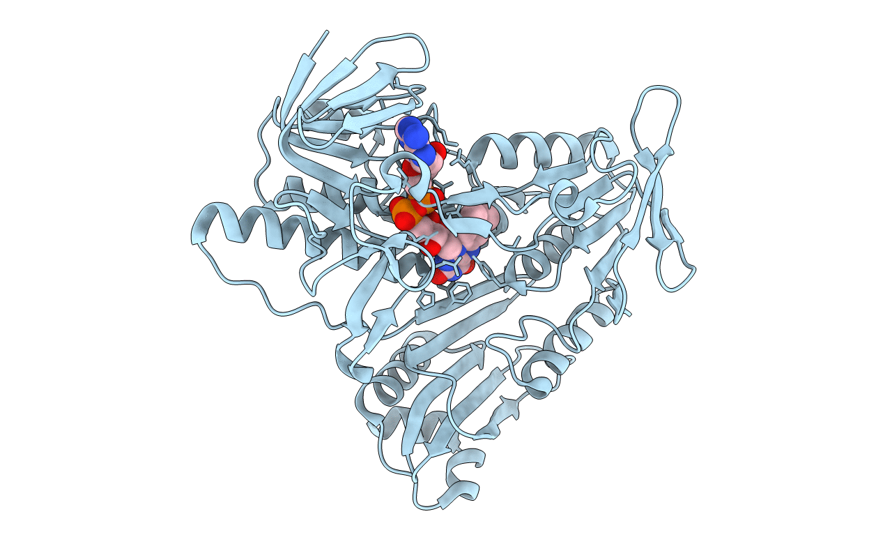 5JCI image