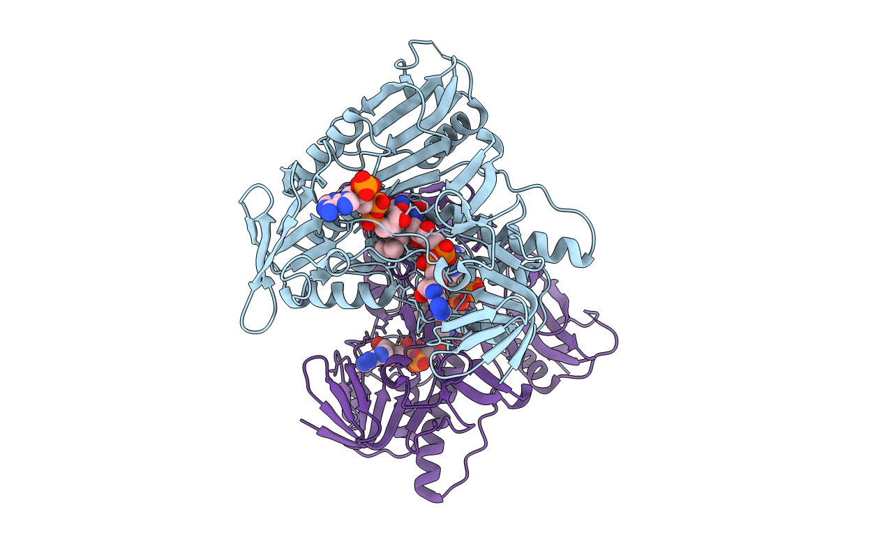 5JCL image