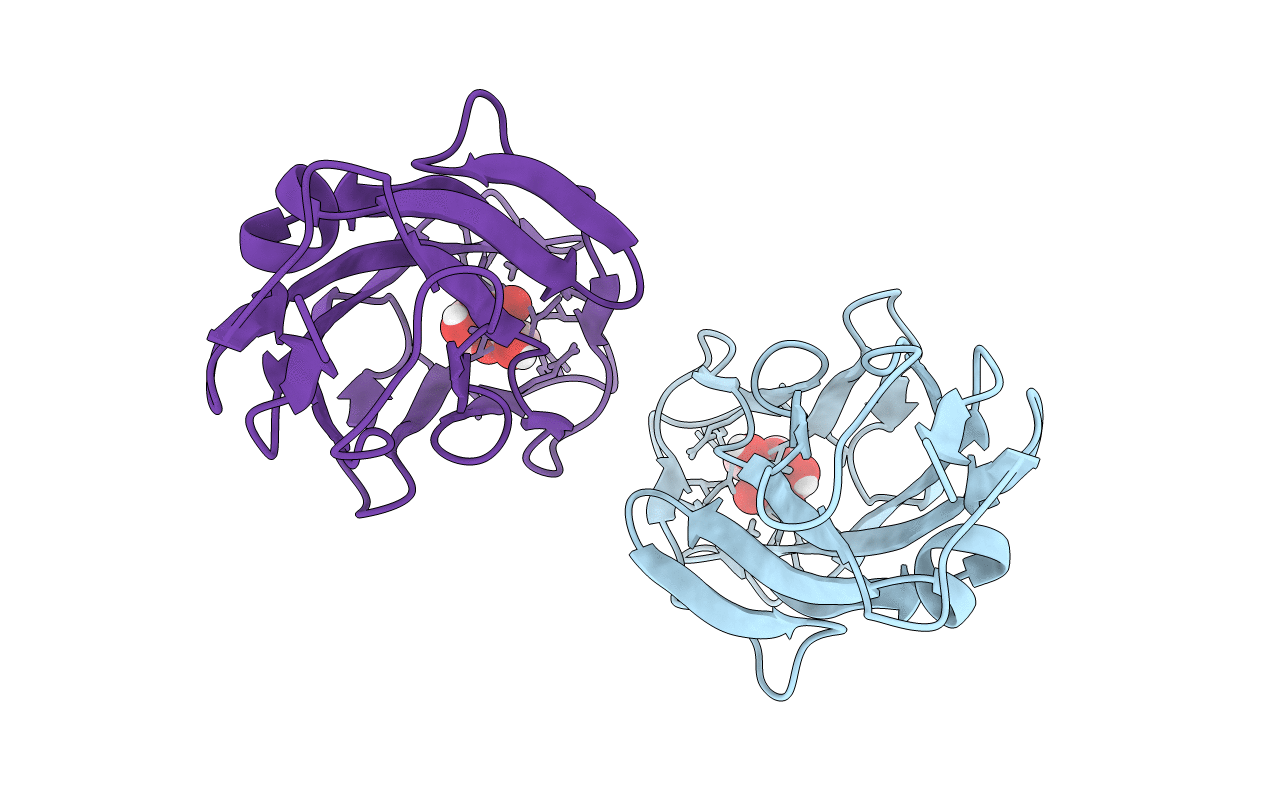 5JCR image