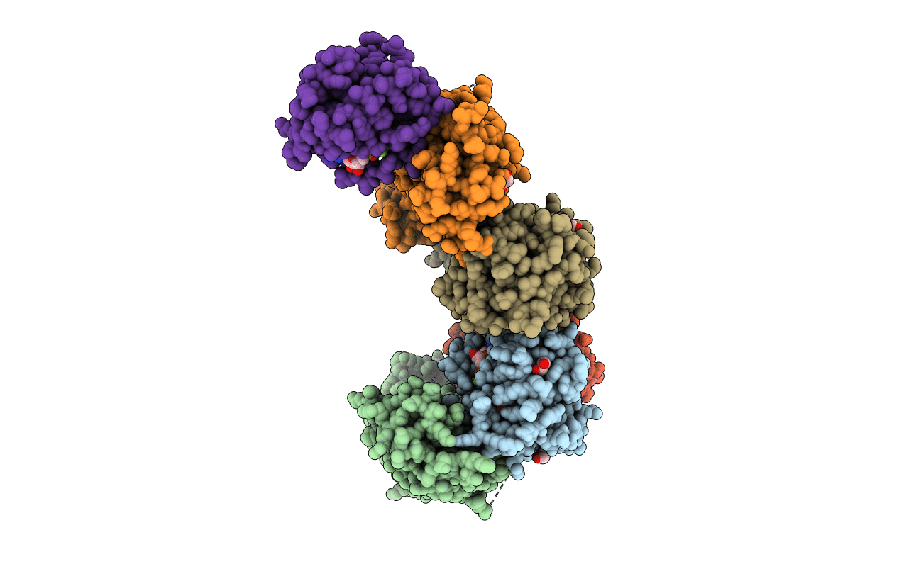 5JCZ image