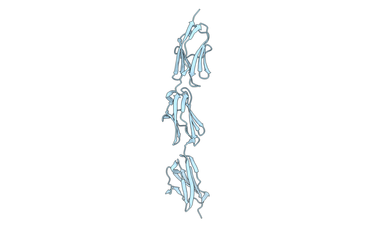 5JDD image